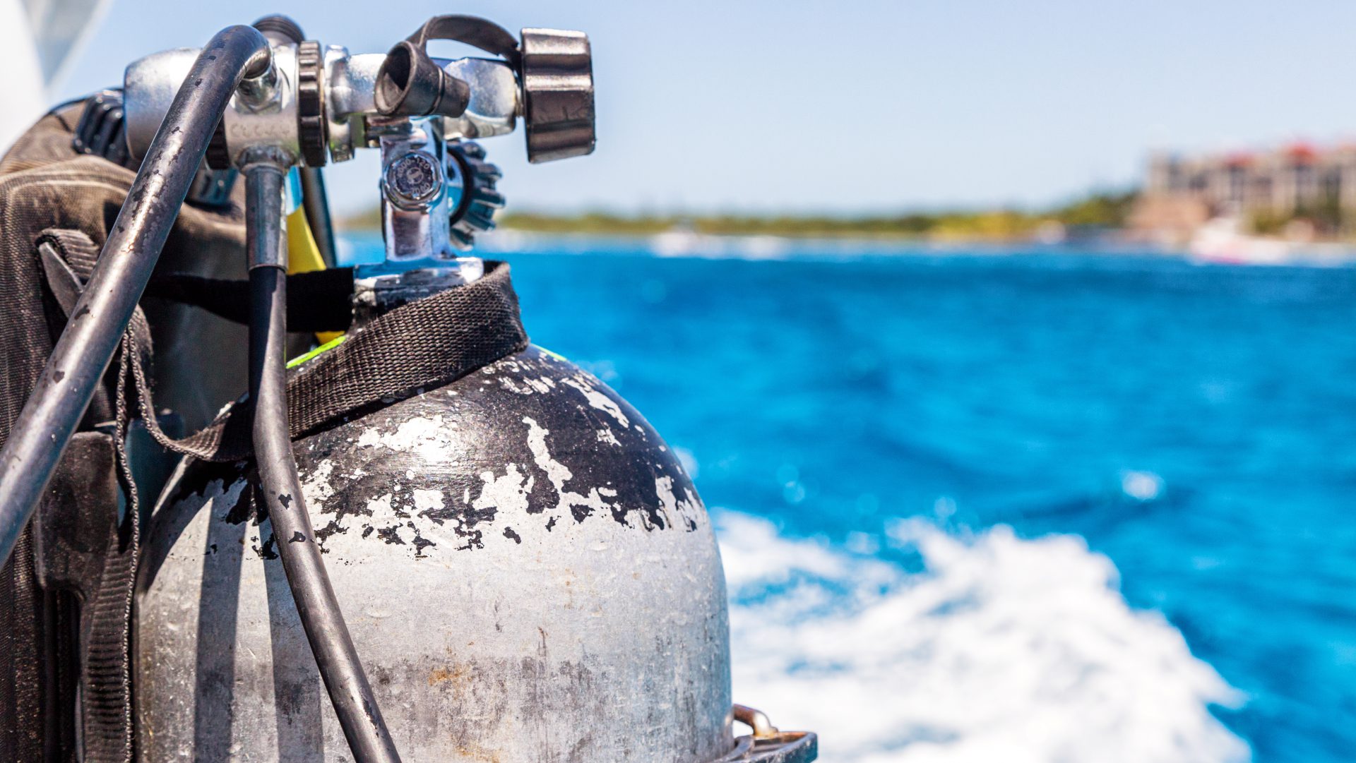 The Best Divemaster Internship Program in Cozumel and Caribbean | IDC ...