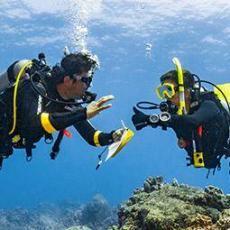 dive padi elearning