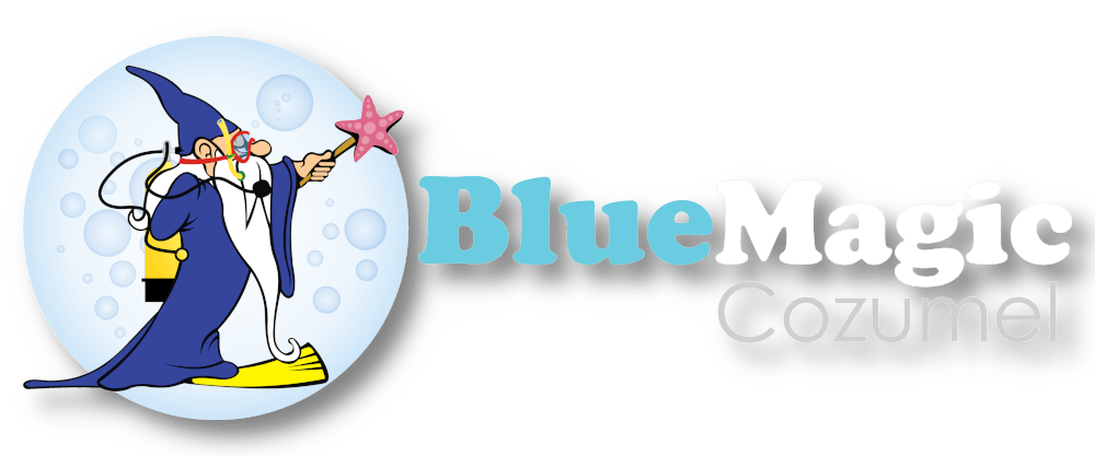 Blue Magic Scuba